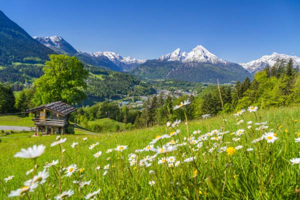 Travelling to Switzerland in 2026: A Practical Guide to Discovering the Country Like a Local