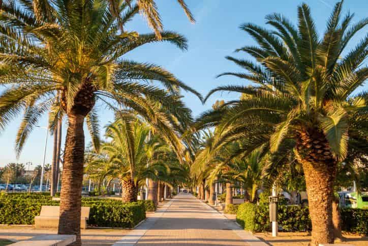 Going to Spain: travel and safety advice